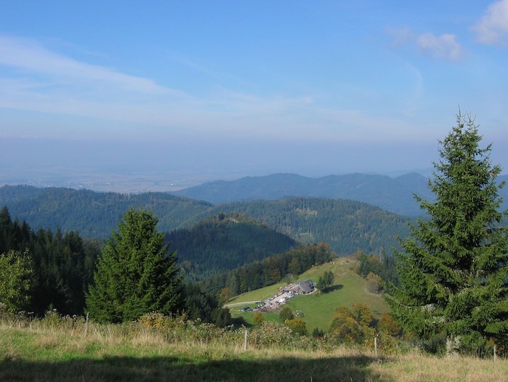 schwarzwaldblick-2.jpg